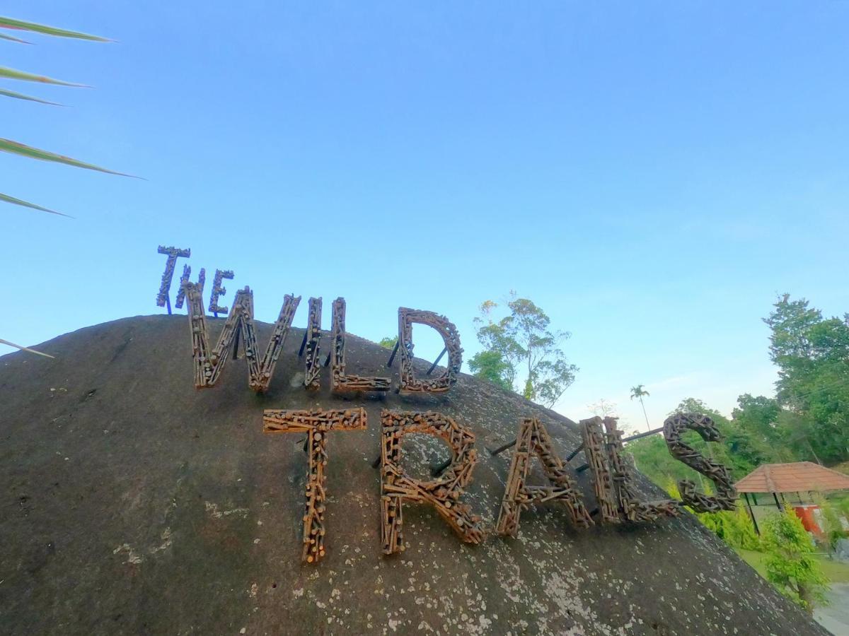The Wild Trails Clarks Exotica , Munnar Hotell Exteriör bild