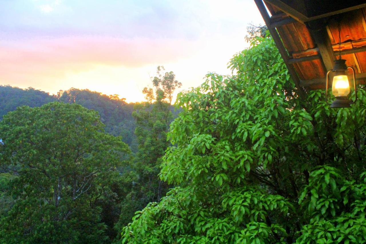 The Wild Trails Clarks Exotica , Munnar Hotell Exteriör bild
