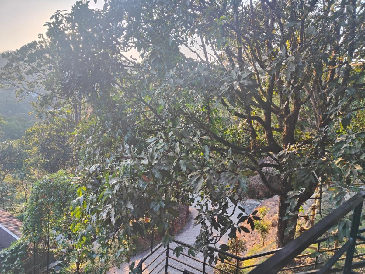 The Wild Trails Clarks Exotica , Munnar Hotell Exteriör bild