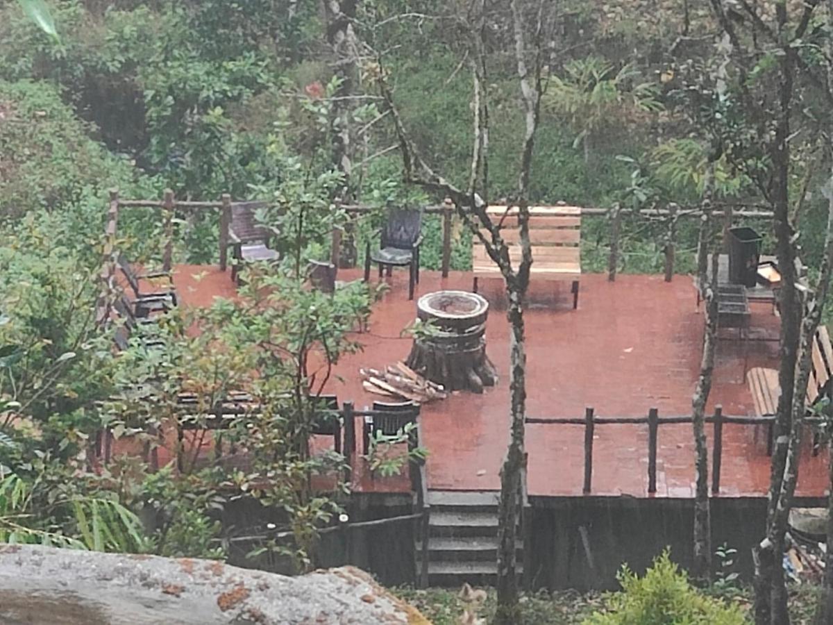 The Wild Trails Clarks Exotica , Munnar Hotell Exteriör bild